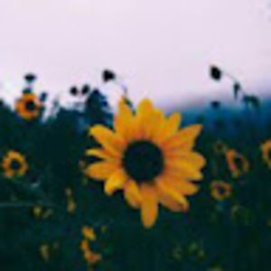 Meet your Posher, Keyshia